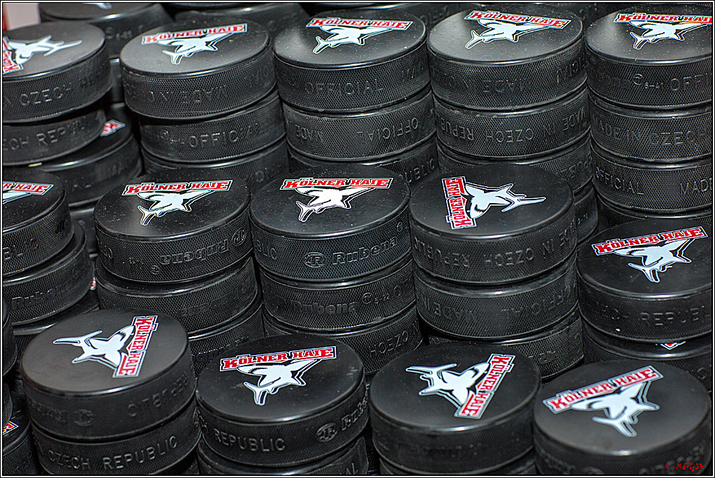 1. offizielles Training der Koelner Haie, 05.08.2018